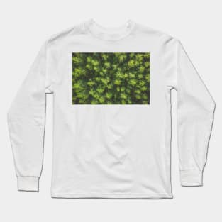 Top down aerial view of pine forest Long Sleeve T-Shirt